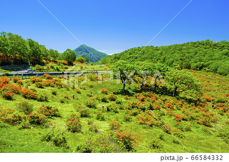 白樺牧場と荒山 白樺牧場と荒山 66584332
