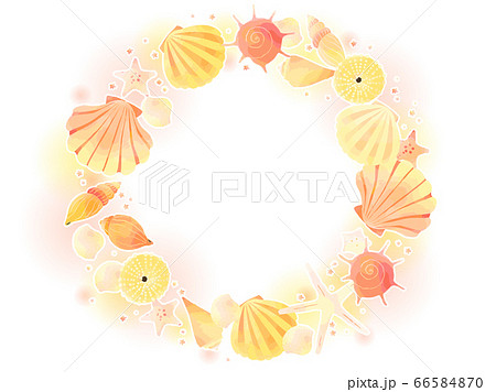 かわいい貝殻のイラスト背景のイラスト素材
