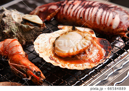 浜焼き 浜焼き 66584889