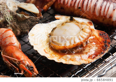 浜焼き 浜焼き 66584891
