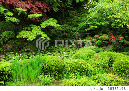 滋賀県愛知郡愛荘町の松峰山 金剛輪寺からの風景、お寺と新緑・日本庭園【6月】 66585148