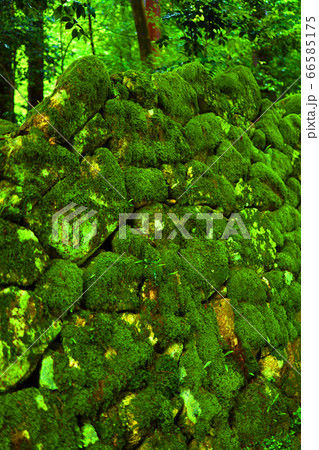 滋賀県愛知郡愛荘町の松峰山 金剛輪寺からの風景、お寺と新緑・日本庭園【6月】 66585175