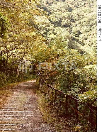 風景、夏の終わりのトレッキング 風景、夏の終わりのトレッキング 66585369
