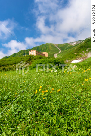 千畳敷カール (7月　晴れ　夏) 66585402