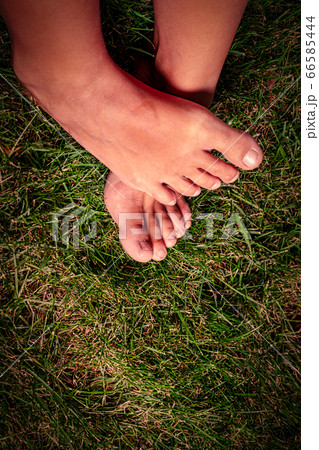 Feet in grass on meadow crossed over each other 66585444