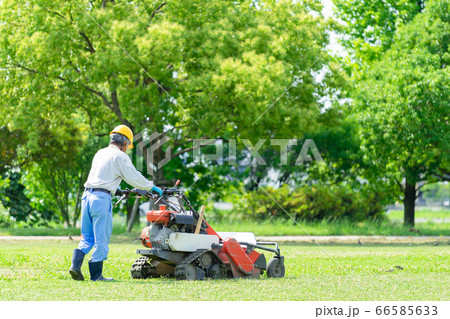 自走式 大型草刈り機で草刈り ハンマーナイフモアの写真素材 [66585633] - PIXTA