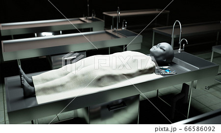 The dead alien in the morgue on the table. Futuristic autopsy concept. 3d rendering. The dead alien in the morgue on the table. Futuristic autopsy concept. 3d rendering. 66586092
