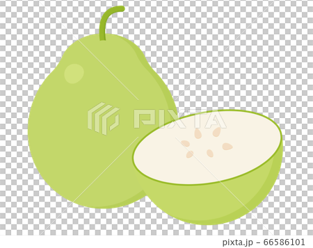 幹葫蘆條 幹葫蘆條 66586101