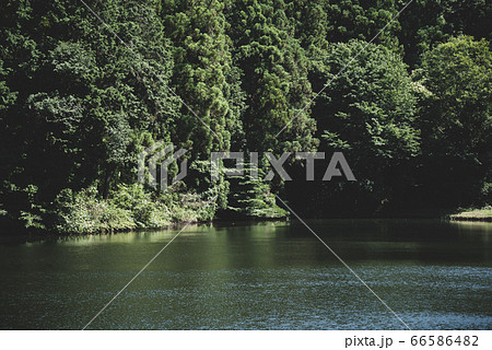 森の緑と水辺の風景　h-2 フィルム調1 66586482