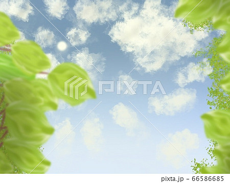 自然背景イラスト 66586685
