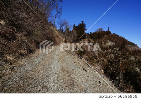 群馬県ぐんま百名山 小沢岳 登山道の椚(くぬぎ)峠付近 群馬県ぐんま百名山 小沢岳 登山道の椚(くぬぎ)峠付近 66586959