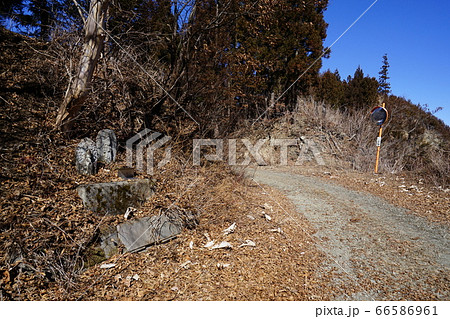 群馬県ぐんま百名山　小沢岳　登山道の椚（くぬぎ）峠付近 66586961