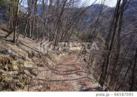 群馬県ぐんま百名山 小沢岳の下山途中の登山道 群馬県ぐんま百名山 小沢岳の下山途中の登山道 66587095