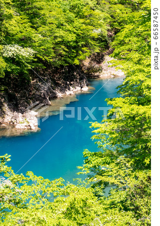 抱返渓谷 誓願橋から青い水面を望む 玉川 秋田県仙北市 春 昼間 縦位置 66587450