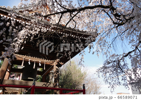 the Iida city Chogenji shrine the Iida city Chogenji shrine 66589071