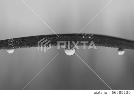 風景 自然 韓国 66589180