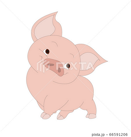 豚 ブタ ぶた 66591206