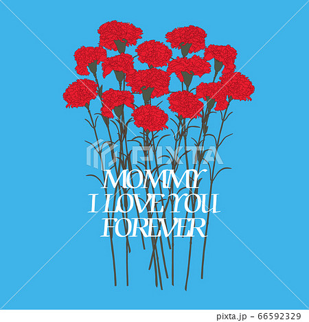花 フラワー お花 66592329