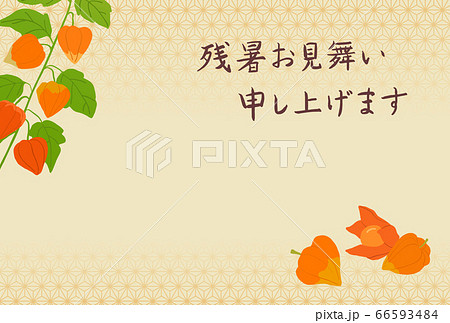 残暑見舞い ほおずきの背景素材 ハガキテンプレートのイラスト素材