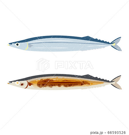 秋刀魚のビフォーアフターのイラスト素材