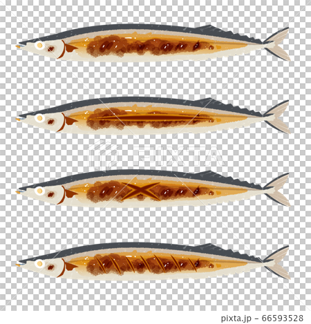焼き秋刀魚の切れ目色々のイラスト素材 [66593528] - PIXTA