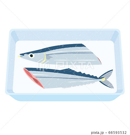 半分に切った新鮮な秋刀魚 66593532