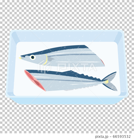 半分に切った新鮮な秋刀魚 66593532