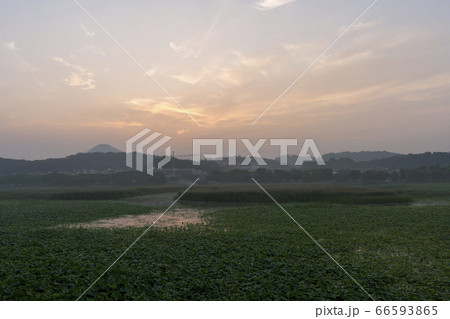 屋外 室外 自然 66593865