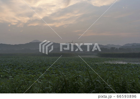 屋外 室外 自然 66593896