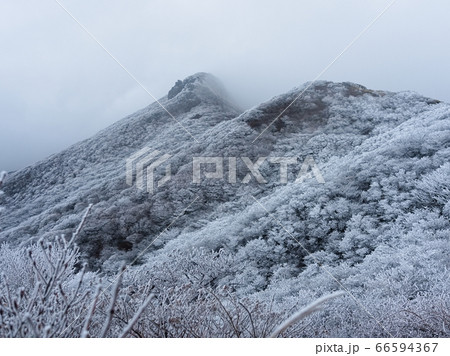 九重牧ノ戸峠登山道からの眺め 66594367