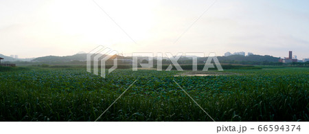 屋外 室外 自然 66594374