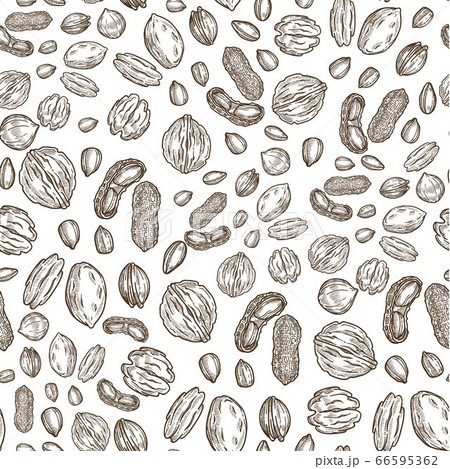 Nuts and snacks, organic ingredients for cooking seamless pattern 66595362