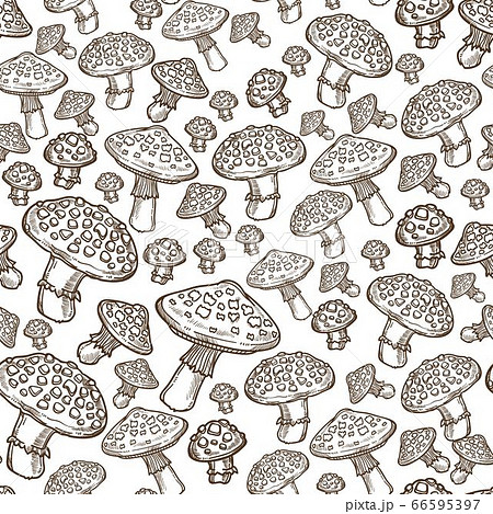 Amanita mushroom, ripe fungi harvesting monochrome seamless pattern Amanita mushroom, ripe fungi harvesting monochrome seamless pattern 66595397