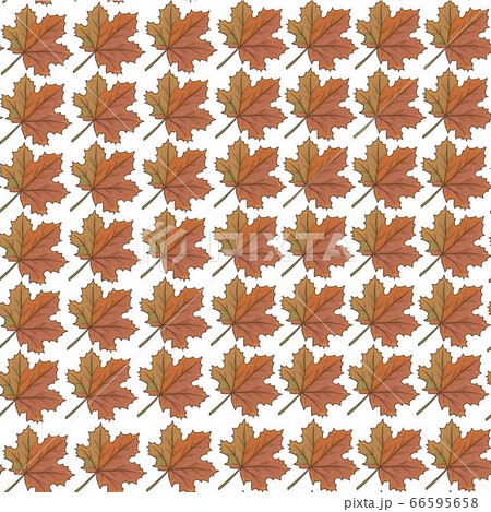 Maple leaves, dry foliage of tree in autumn seamless pattern 66595658