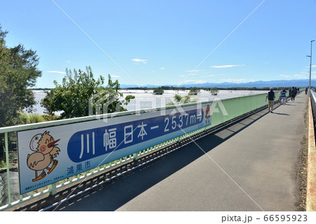 川幅日本一（埼玉県鴻巣市・荒川） 66595923