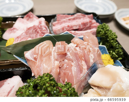 牛肉、豚肉、鶏肉、ホルモン、焼肉セット盛り合わせ 66595939