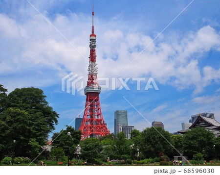 晴れた日の芝公園からの東京タワー 66596030