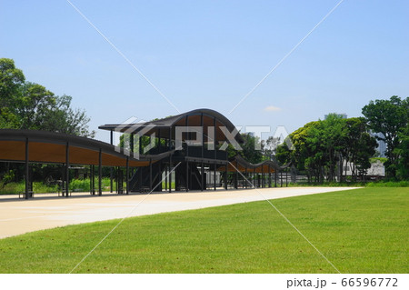 6月 江東282アーチェリー場・夢の島公園 6月 江東282アーチェリー場・夢の島公園 66596772