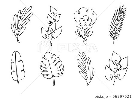 Leaf Line Art のイラスト素材