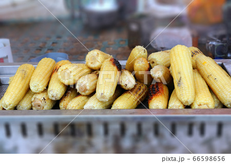 済州 済州島 韓国 66598656