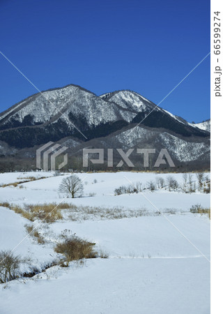 雪の蒜山高原 66599274