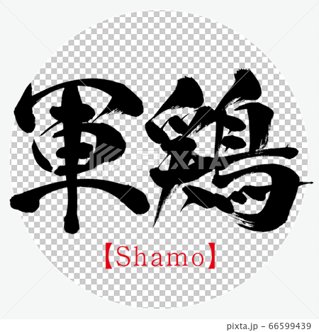 軍鶏 Shamo 筆文字 手書き のイラスト素材