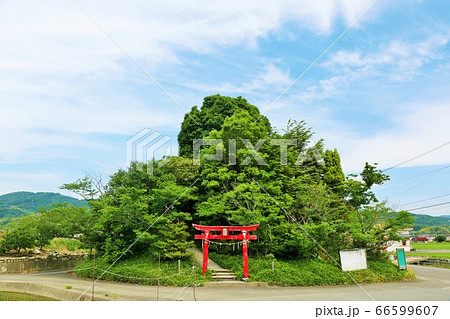 徳島県　日本一低い自然の山「弁天山」 66599607