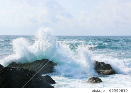 高知県 室戸岬の波しぶき 高知県 室戸岬の波しぶき 66599650