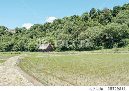初夏の白川郷(昼) 初夏の白川郷(昼) 66599811