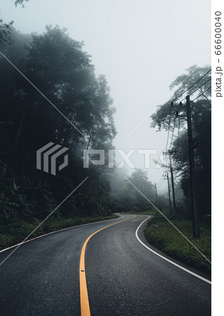 Mountains and green trees during the day 66600040