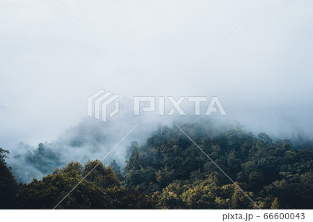 Mountains and green trees during the day Mountains and green trees during the day 66600043