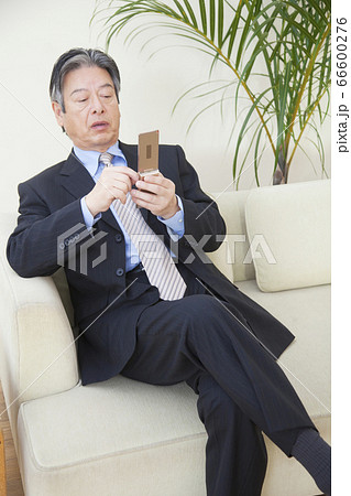 携帯電話を見るビジネスマン 携帯電話を見るビジネスマン 66600276