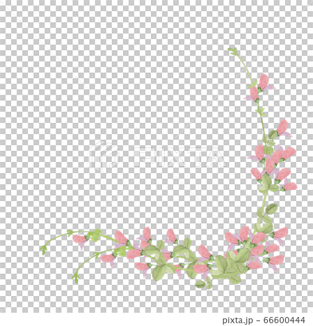 萩の花フレーム 萩の花フレーム 66600444