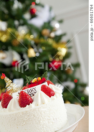 クリスマスケーキ クリスマスケーキ 66601764